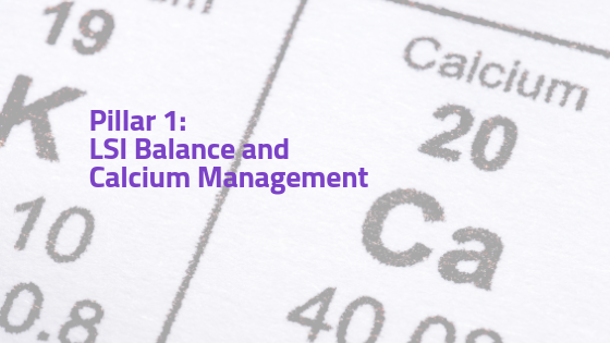 LSI Balance and Calcium Management | Pillar 1