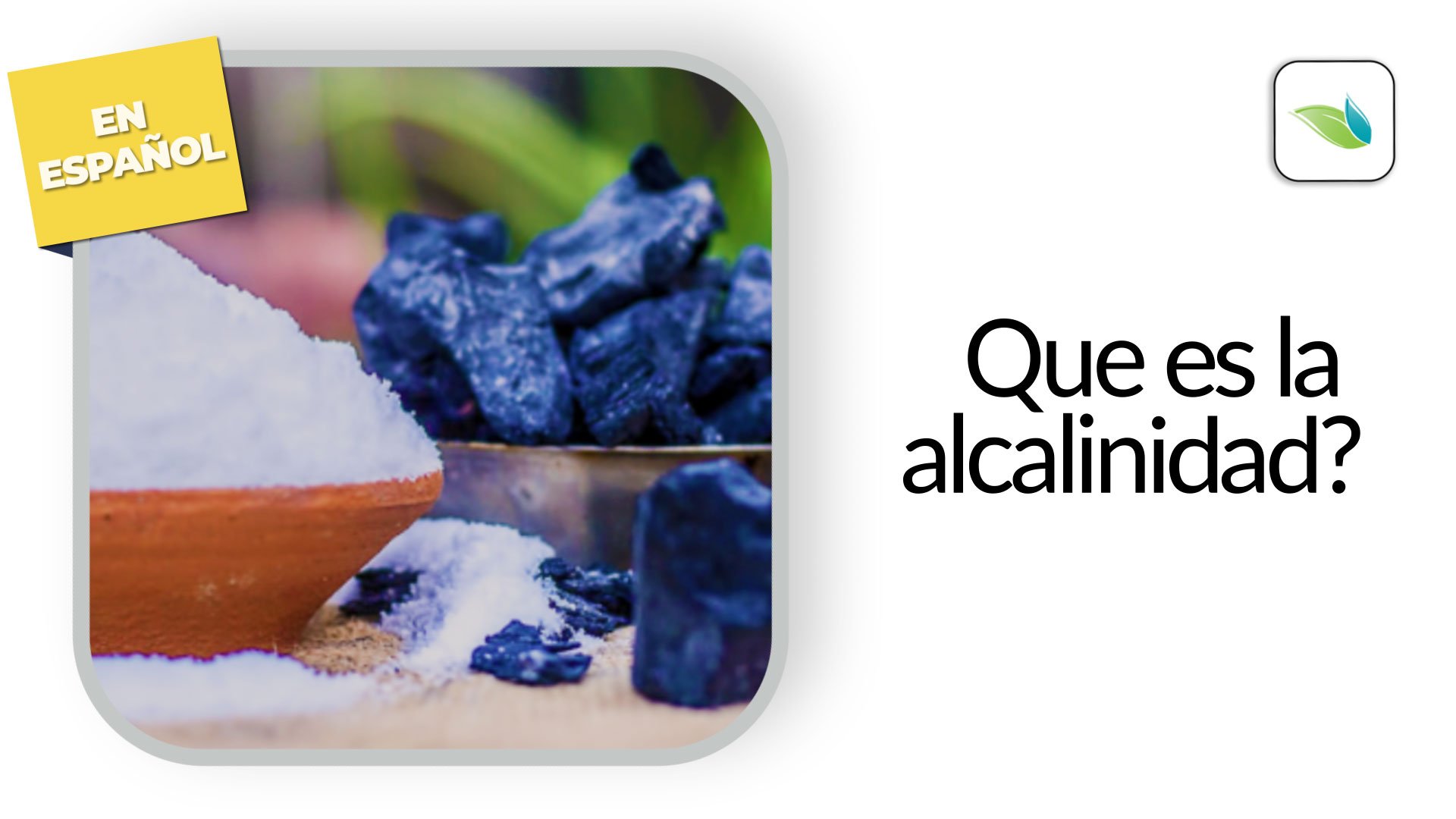 Que es alcalinidad?